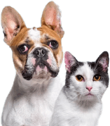 Küçük Irk Köpekler İçin Günlük Vitamin Takviyesi – Multivit Plus 90 gr (60 tablet)